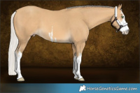 Horse Color:White Spotted Silver Sable Cream Champagne 
