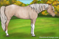 Horse Color:Silver Blue Roan Pearl Tobiano Frame 