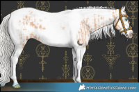 Horse Color:Silver Bay Dun Tobiano Frame  and Silver Bay Dun Tobiano Varnish 