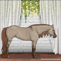 Horse Color:Liver Red Dun Rabicano 