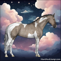 Horse Color:Brown Dun Tobiano Rabicano 