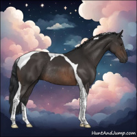 Horse Color:Brown Tobiano Rabicano 