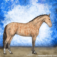 Horse Color:Bay  and Amber Champagne 