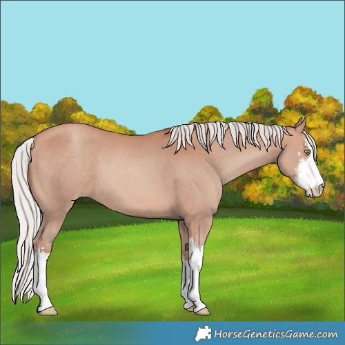 Horse Color:White Spotted Silver Sable Champagne 