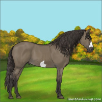 Horse Color:Smoky Grullo 