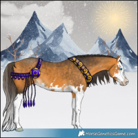Horse Color:Buckskin Splash 