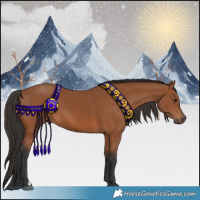 Horse Color:Bay Sabino 