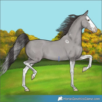 Horse Color:Platinum Classic Cream Champagne Splash 