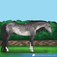 Horse Color:Platinum Buckskin Tobiano 