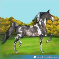Horse Color:Platinum White Spotted Brown 