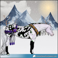 Horse Color:Watercolor Cremello Tobiano Appaloosa 