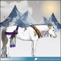 Horse Color:Nacre Buckskin Onyx Splash Tobiano 