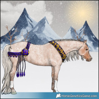 Horse Color:Silver Bay Ice Roan 