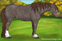 Horse Color:Liver Chestnut Ice Sabino 
