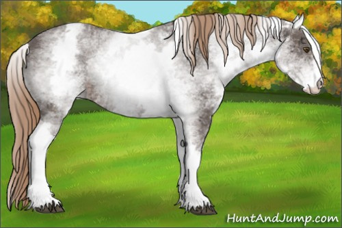 Horse Color:White Spotted Liver Chestnut Ice Sabino