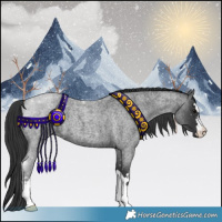 Horse Color:Blue Roan 