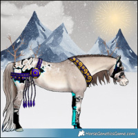 Horse Color:Brown Roan Onyx Splash Appaloosa