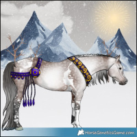 Horse Color:Gray Bay Tobiano 