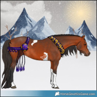 Horse Color:Bay Tobiano Rabicano