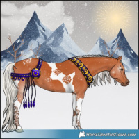 Horse Color:Silver Bay Tobiano 