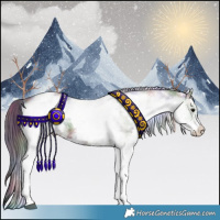 Horse Color:Nacre White Spotted Grullo 