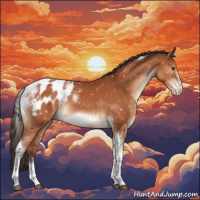 Horse Color:Brown Tobiano Frame Blanket Rabicano 