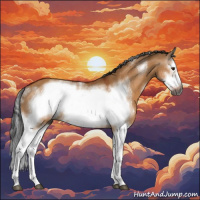 Horse Color:Gray White Spotted Brown Dun Splash Frame 