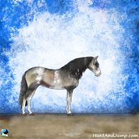 Horse Color:White Spotted Blue Onyx Mushroom Sabino