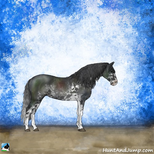Horse Color:Black Sabino Rabicano