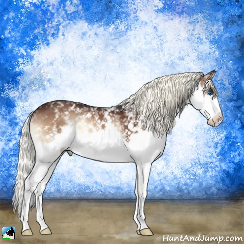 Horse Color:White Spotted Liver Red Onyx Mushroom Splash 