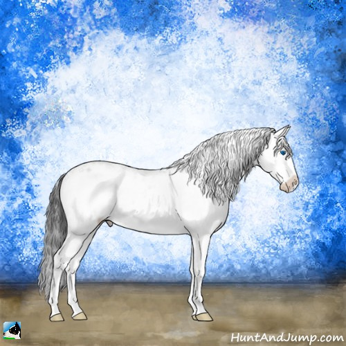 Horse Color:Brown Onyx Sabino Splash 