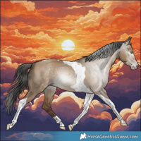 Horse Color:Gray Classic Champagne Dun Tobiano Rabicano 