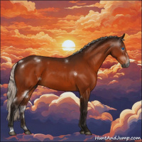 Horse Color:Gray White Spotted Silver Bay Frame 