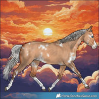 Horse Color:White Spotted Silver Bay Dun Splash Rabicano 