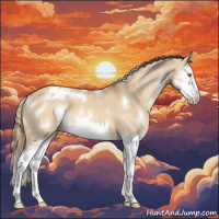 Horse Color:White Spotted Red Dun Splash Frame Appaloosa 