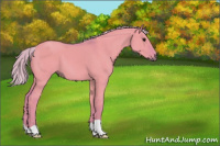 Horse Color:Watercolor Silver Grullo 