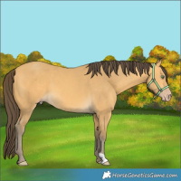 Horse Color:Amber Cream Champagne