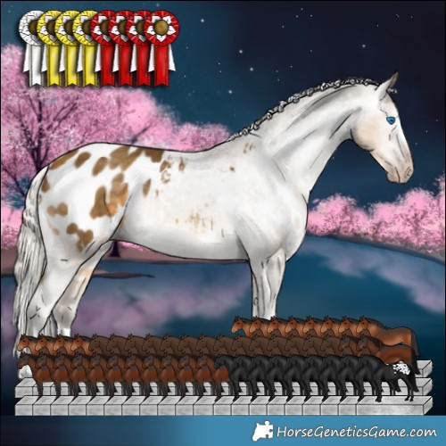 Horse Color:Gray White Spotted Silver Sable Cream Champagne Splash Appaloosa 