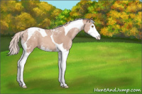 Horse Color:Silver Classic Champagne Ice Splash Tobiano Varnish Rabicano 