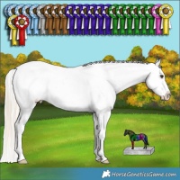 Horse Color:Palomino Ice Splash Tobiano Frame Appaloosa Rabicano  and Silver Bay Ice Dun Splash Tobiano Appaloosa Rabicano 