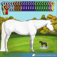 Horse Color:Palomino Ice Splash Tobiano Frame Varnish Rabicano  and Silver Bay Ice Dun Splash Tobiano Varnish Rabicano 