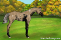 Horse Color:Void Silver Smoky Black Sabino 