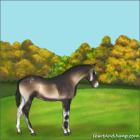 Horse Color:Brown Onyx Varnish Rabicano 