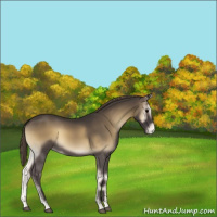Horse Color:Smoky Blue Onyx Varnish Rabicano 