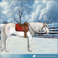 Horse Color:White Spotted Cremello 