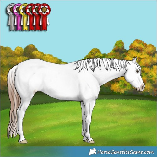Horse Color:Chestnut Ice Sabino Splash Tobiano Frame Appaloosa Rabicano 