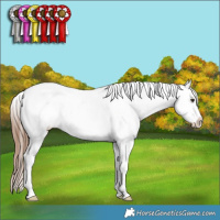 Horse Color:Chestnut Ice Sabino Splash Tobiano Frame Varnish Rabicano 