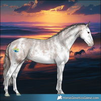 Horse Color:White Spotted Bay Splash Appaloosa