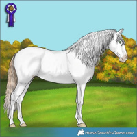 Horse Color:Sable Cream Champagne Sabino Splash Tobiano Appaloosa Rabicano 