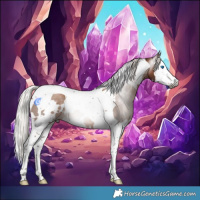 Horse Color:Gray White Spotted Silver Black Pearl Splash Tobiano